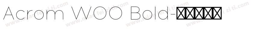 Acrom W00 Bold字体转换